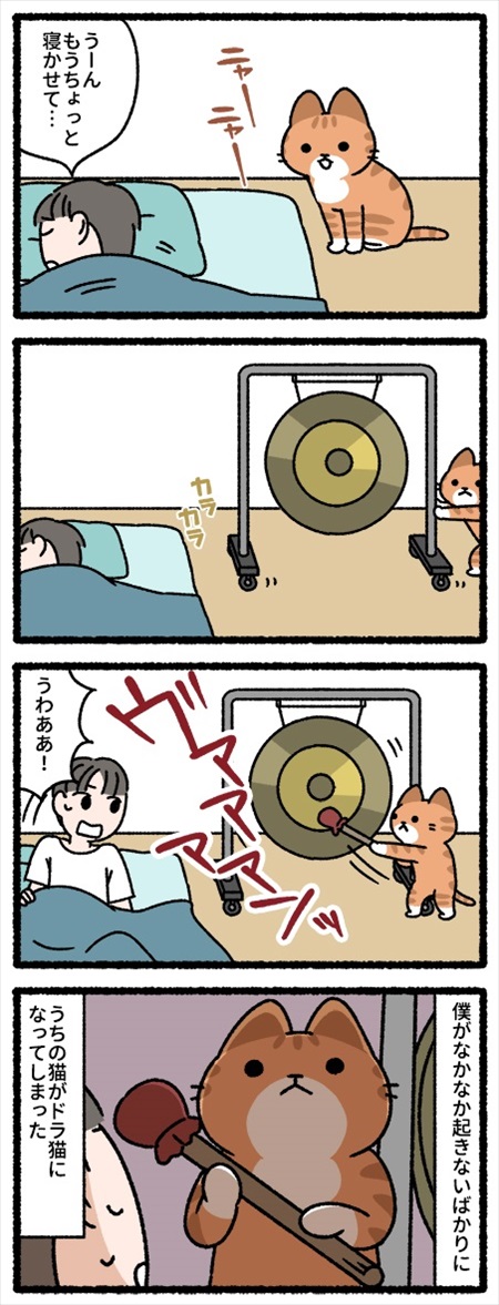 pandaniaの猫漫画