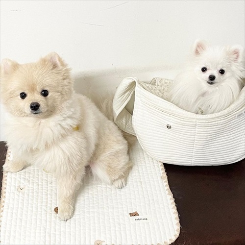 ころすけくんとぺこちゃん