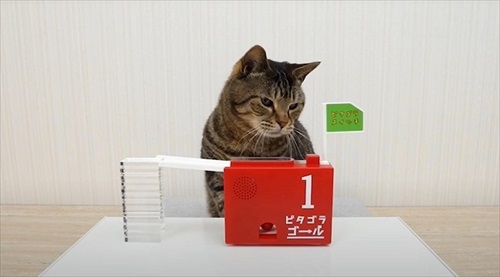 ねことマーブルラン