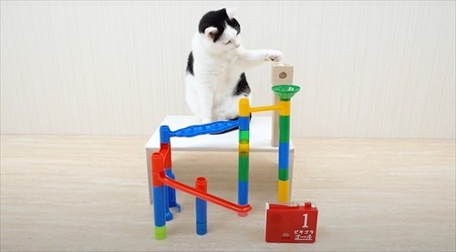 ねことマーブルラン