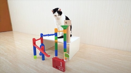 ねことマーブルラン