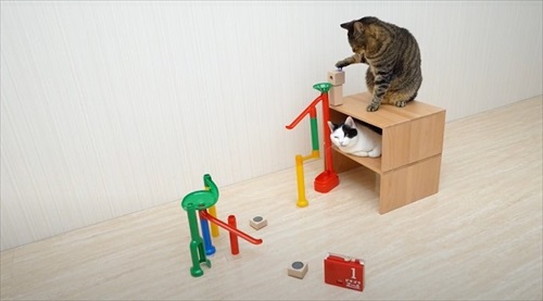 ねことマーブルラン