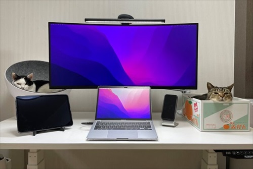 ねことマーブルラン