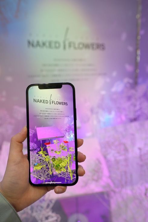 ガンダムプロジェクト