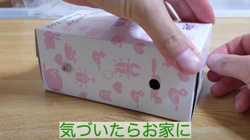 白いハムスター