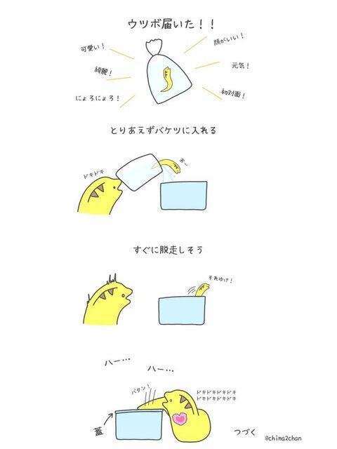 海水飼育って難しいねの話3