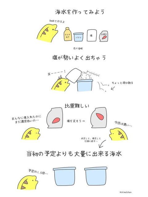海水飼育って難しいねの話1