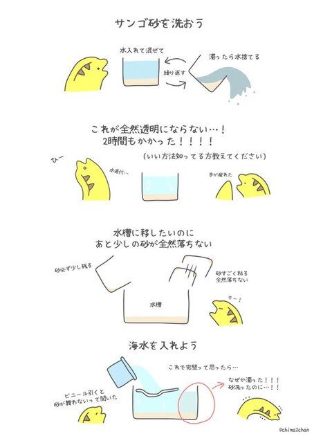 海水飼育って難しいねの話2