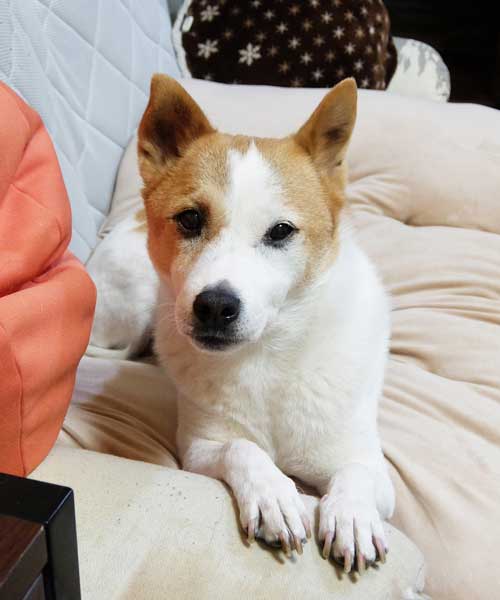 けやきちゃんとのかわいい思い出