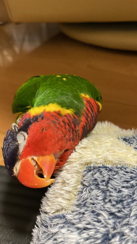おすすめ