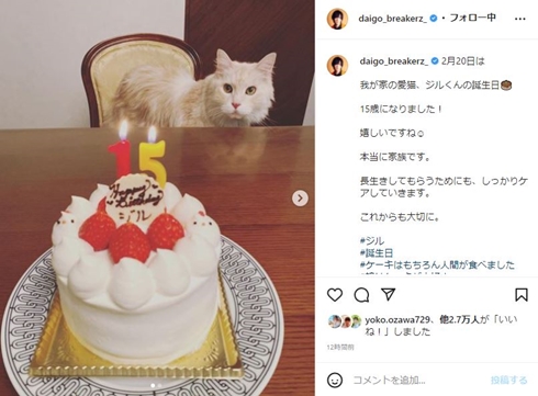 DAIGOが15歳誕生日を祝った愛猫・ジル
