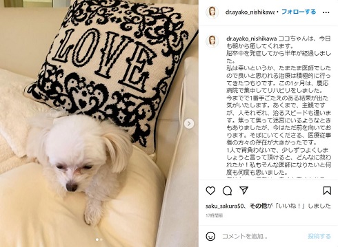 西川史子 右脳内出血 リハビリ