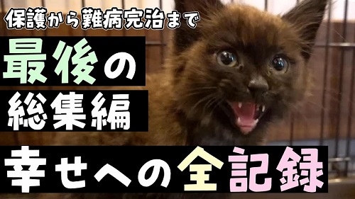 オススメ