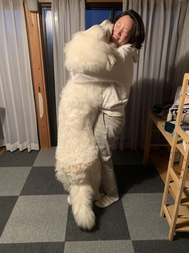 大きくても甘えん坊なシュシュちゃん