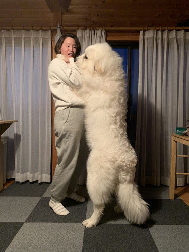 大きくても甘えん坊なシュシュちゃん