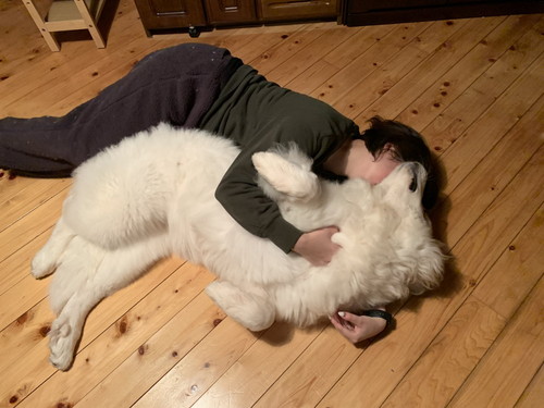 大きくても甘えん坊なシュシュちゃん