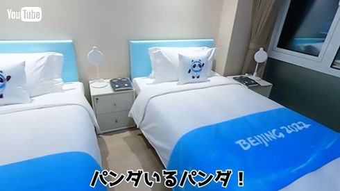 ビン・ドゥンドゥンがプリントされたクッション