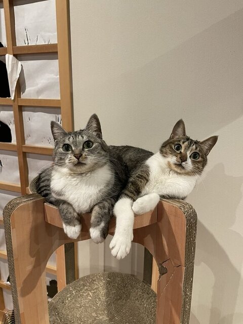 バミラミツーショット