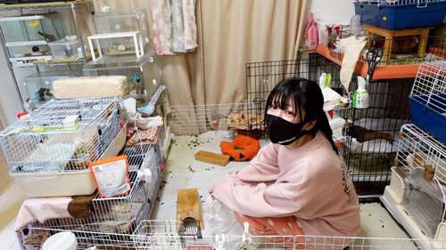 会社員が100匹の生き物の世話をするナイトルーティン
