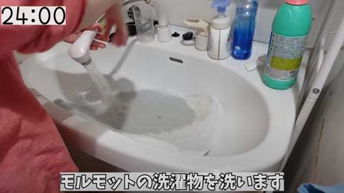 ペットシーツを洗濯して干す