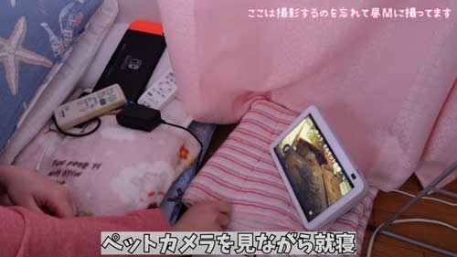 ペットカメラで見守り