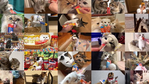 ちゅ〜るちゅ〜るトレイン