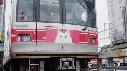 ちゅ〜るちゅ〜るトレイン