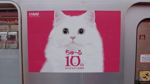 ちゅ〜るちゅ〜るトレイン