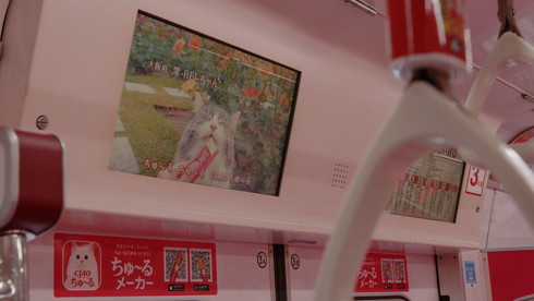 ちゅ〜るちゅ〜るトレイン