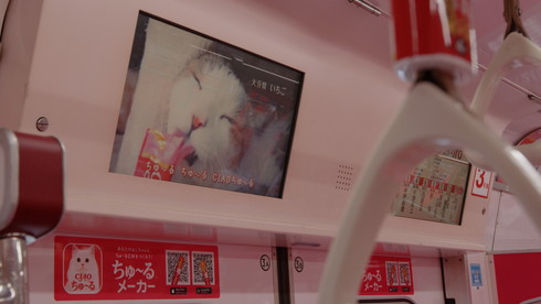 ちゅ〜るちゅ〜るトレイン