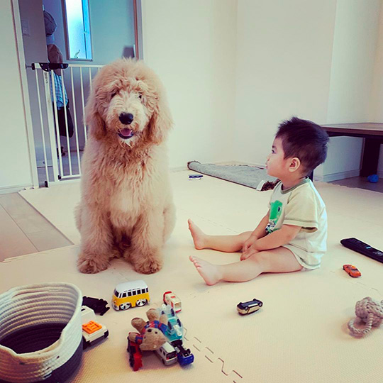 小さいころのラウルくん