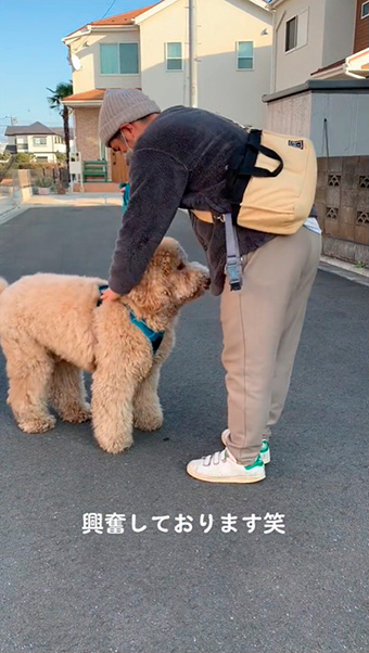 犬を落ち着かせる飼い主