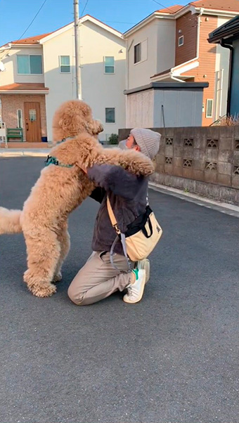 犬が飼い主の肩に足をかけ