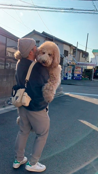 犬を抱っこする飼い主