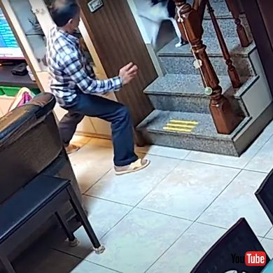 驚かせあうおじいちゃんと猫