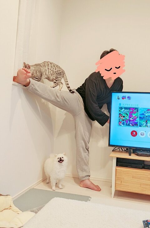 ALT