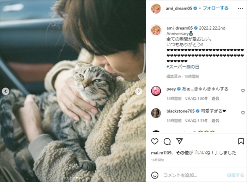 猫と戯れる半田悠人