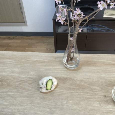 お寿司みたいなハムスター