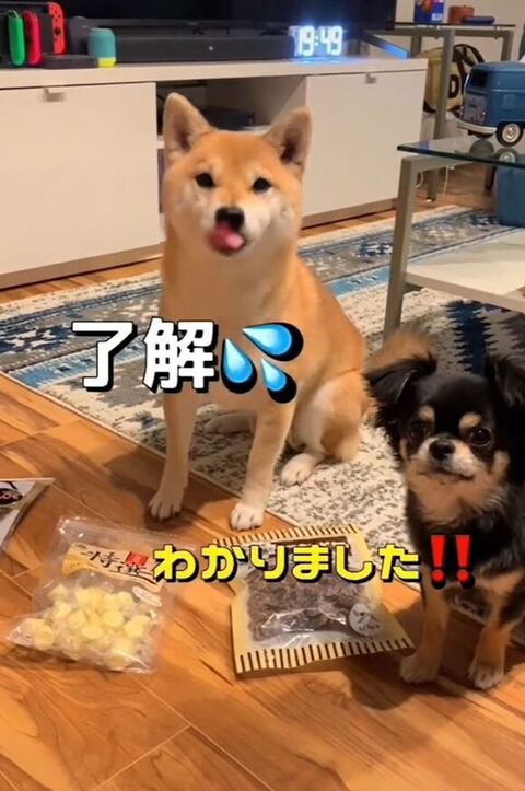 了解してくれるふたり