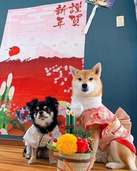 お正月のツーショット