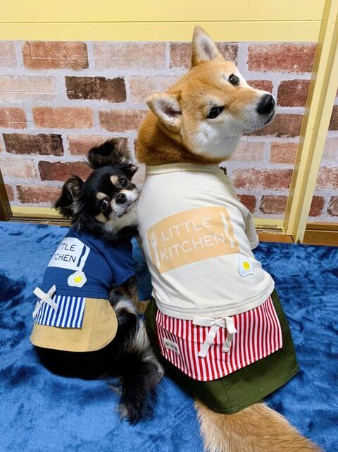 振り返るふたり