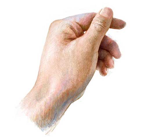 iPad 純正 メモ アプリ スケッチツール 優秀 絵 イラスト 画家