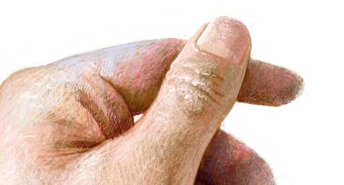 iPad 純正 メモ アプリ スケッチツール 優秀 絵 イラスト 画家