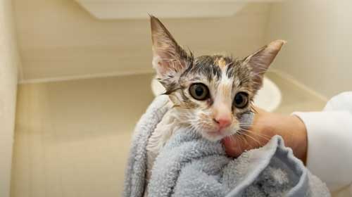 洗い終わって一安心