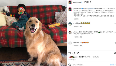 リンクくんの髪形