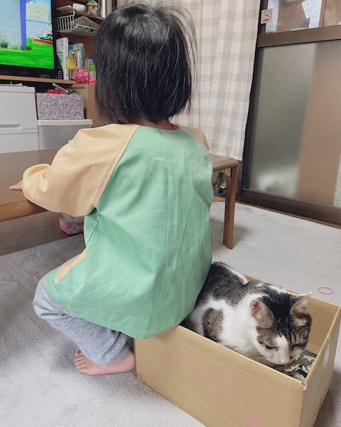 娘さんが猫ちゃんの家に乗る