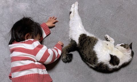 娘さんと猫ちゃんがごろ寝
