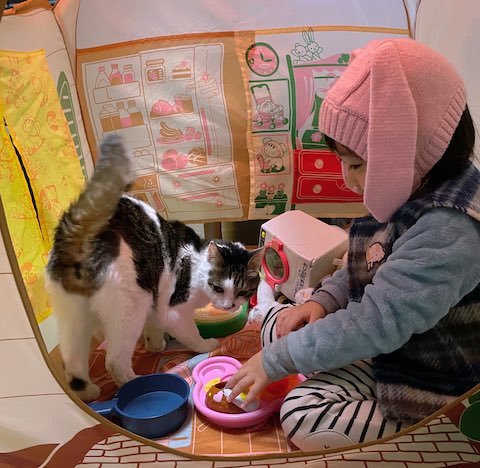 テントでおままごとして娘さんと猫ちゃん