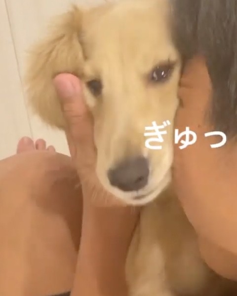 お兄ちゃんとのハグする犬