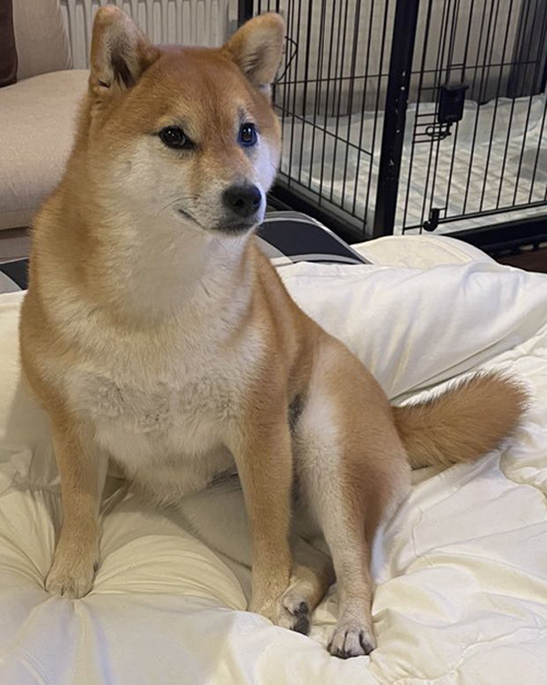 セクシーな座り方